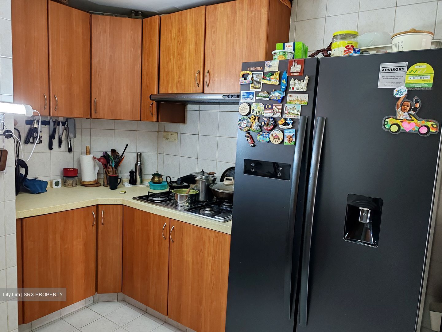 Hazel Park Condominium (D23), Condominium #483437111